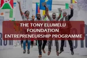 Tony Elumelu Foundation TEF