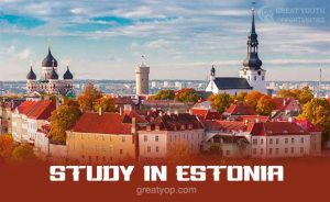 Study in Estonia, Scholarships