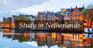 study in netherland