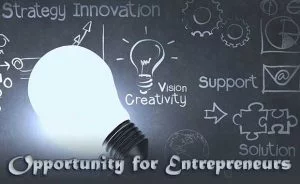 Opportunity for Entrepreneurs