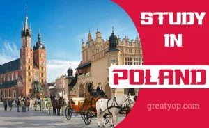Poland scholarship - Study in Poland