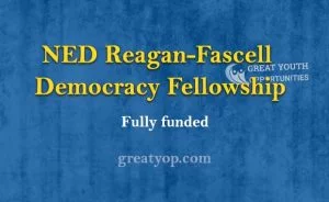 NED Reagan-Fascell Democracy Fellowship