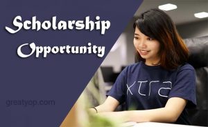 Scholarship for International Students