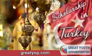 Scholarship in Turkey