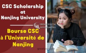 Chinese Government Scholarship at Nanjing University