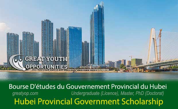 Hubei Provincial Government Scholarship