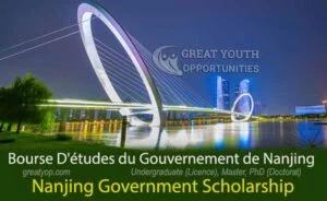 Nanjing Government Scholarship