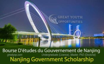 Nanjing Government Scholarship