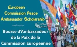European Commission Peace Ambassador Scholarship